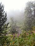 216a fog 3 flowers creek.jpg